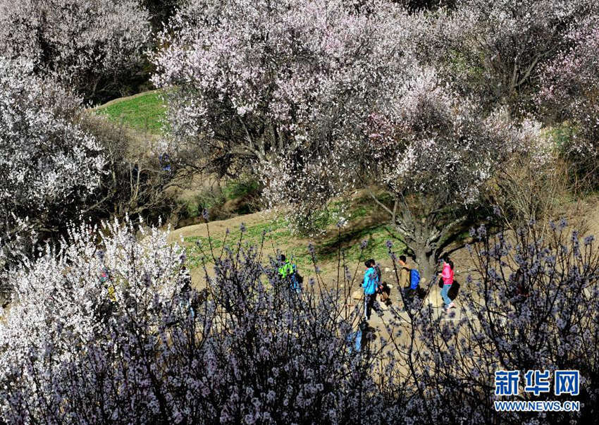 ?? ?? ???? ?? ‘?? ???? ????’