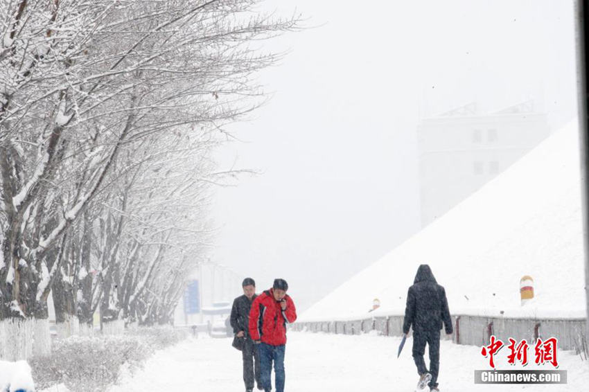 ???? 30?? ?? ?? ?, ??? 20cm??