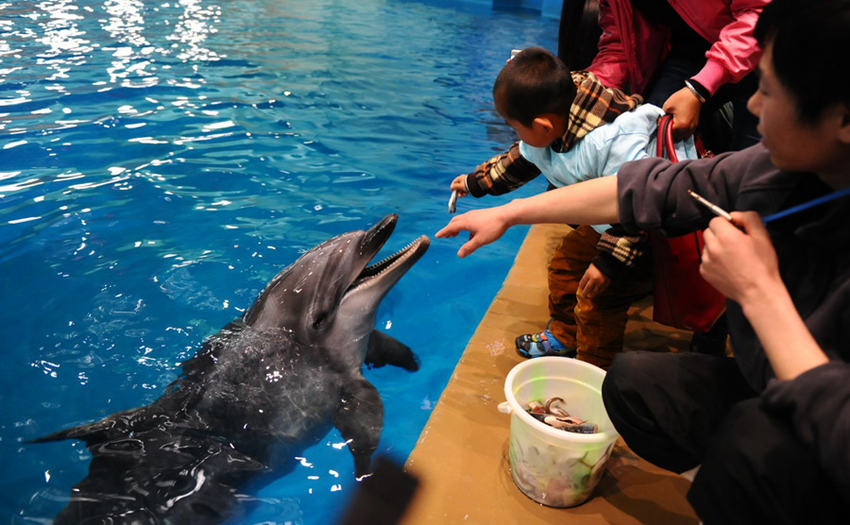 ??? ??? ??? ?? ??? ??