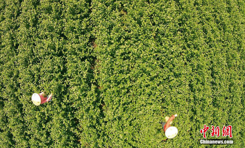 中?? ??, ??? ? ?? ??? ??? ??