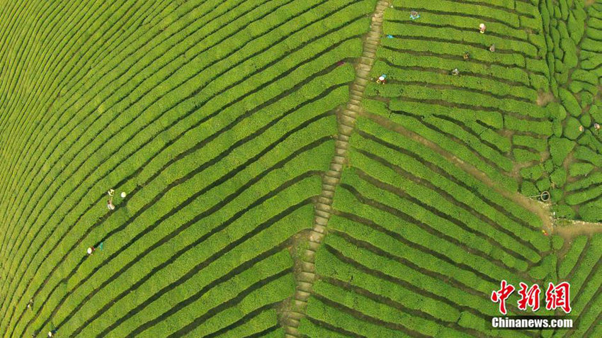 4? 4?, ??? ??, ??（浙江） ???（紹興） ??（新昌） ????? ‘???’ ??? ?? ??