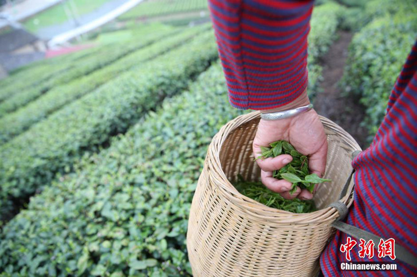 中?? ??, ??? ? ?? ??? ??? ??