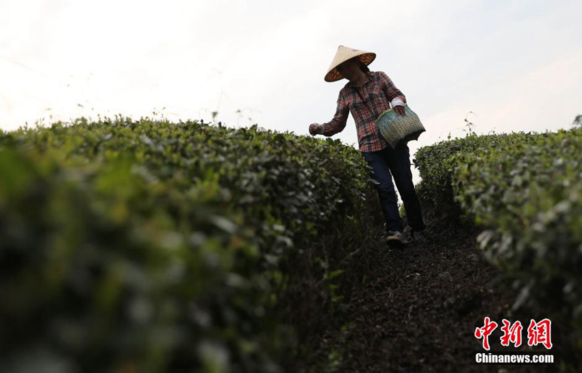 中?? ??, ??? ? ?? ??? ??? ??