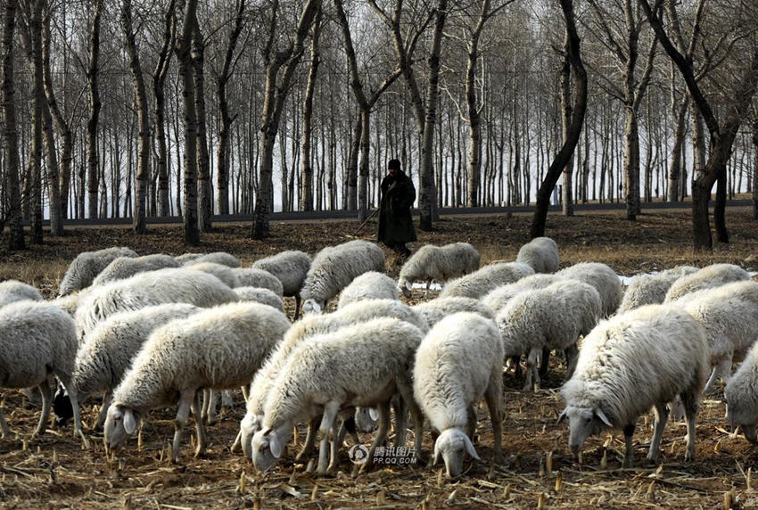 ??? ??? ?? ????? ???