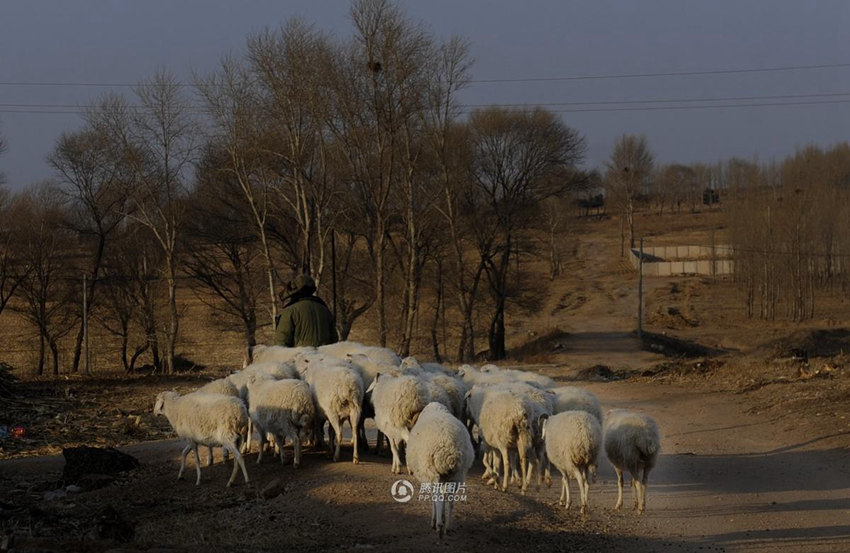 ??? ??? ?? ????? ???