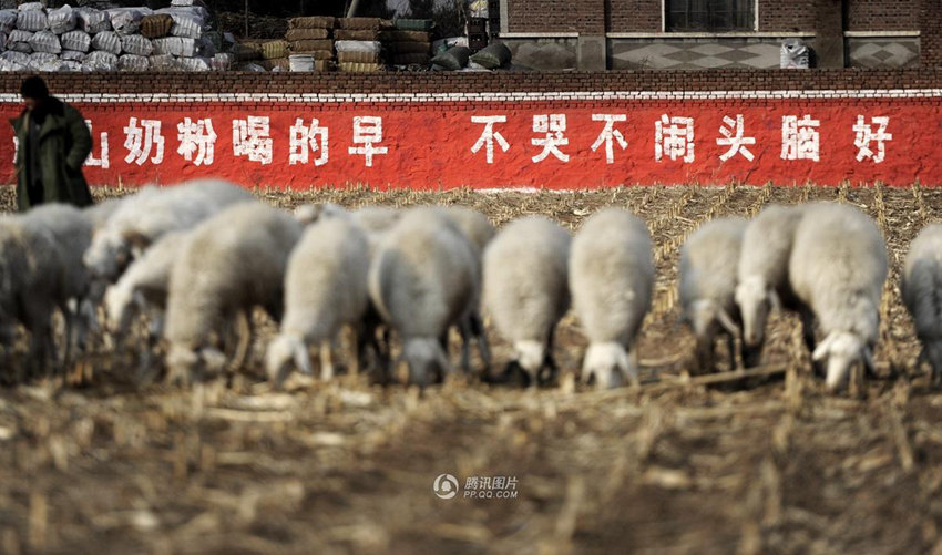 ??? ??? ?? ????? ???