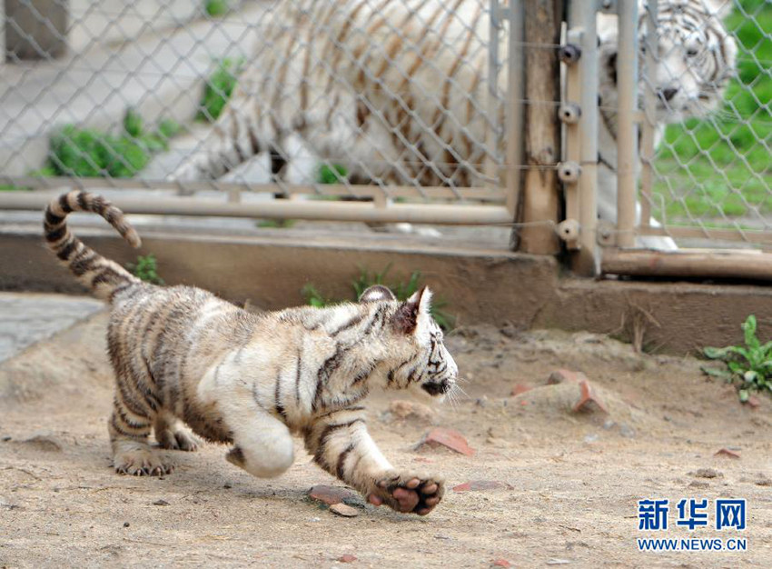 ??? ???? ?? 100? ?? ?? ??