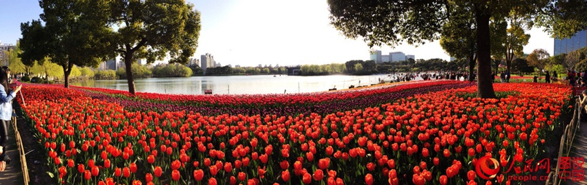 ??? ??(大寧)? ????, ???? ??? ? ??