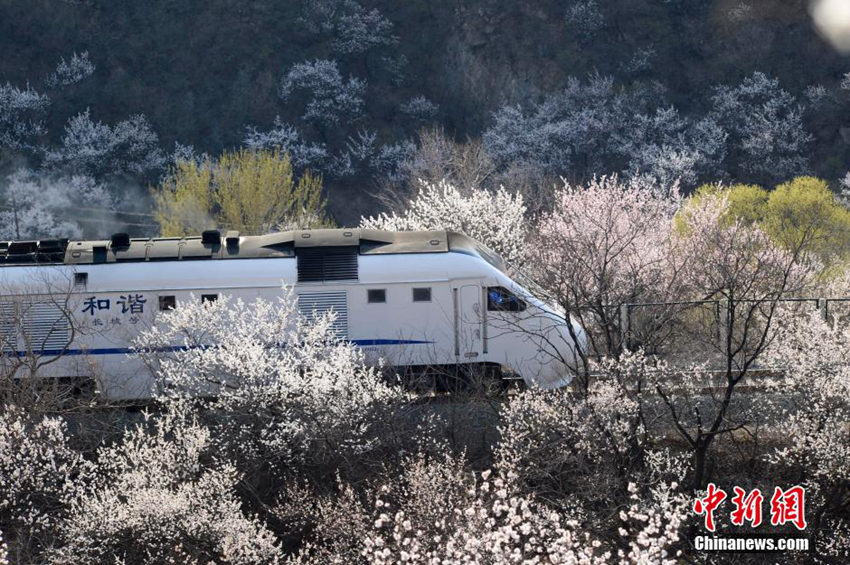 ?? ??? ?? ‘??? ?? ??’, ???(和諧號(hào))