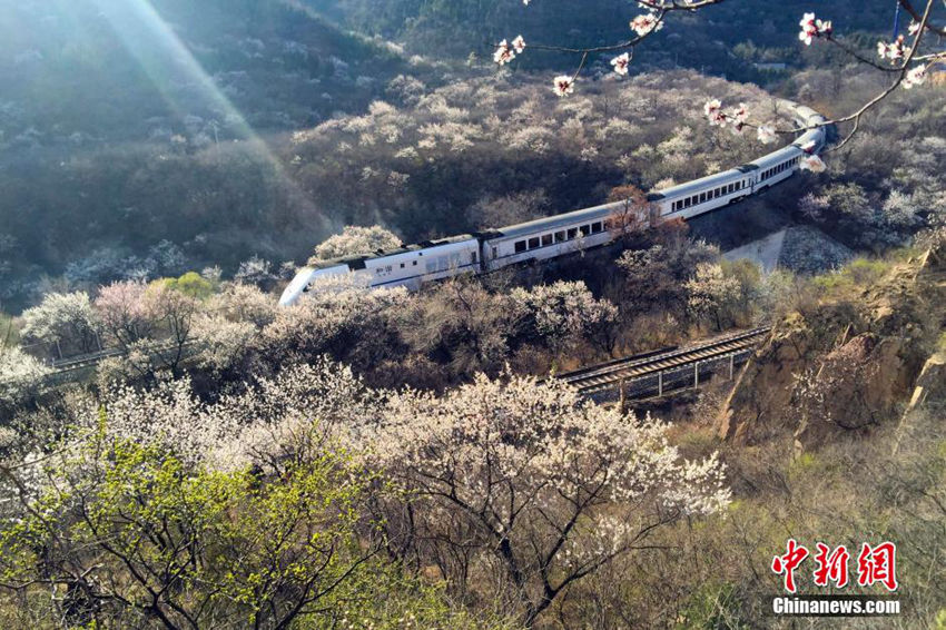 ?? ??? ?? ‘??? ?? ??’, ???(和諧號)