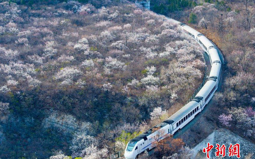 ?? ??? ?? ‘??? ?? ??’, ???(和諧號)