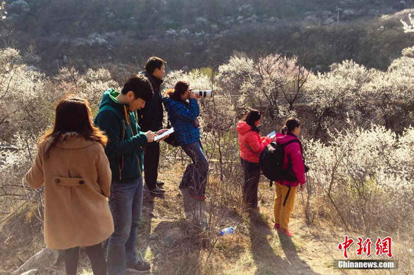 ?? ??? ?? ‘??? ?? ??’, ???(和諧號(hào))