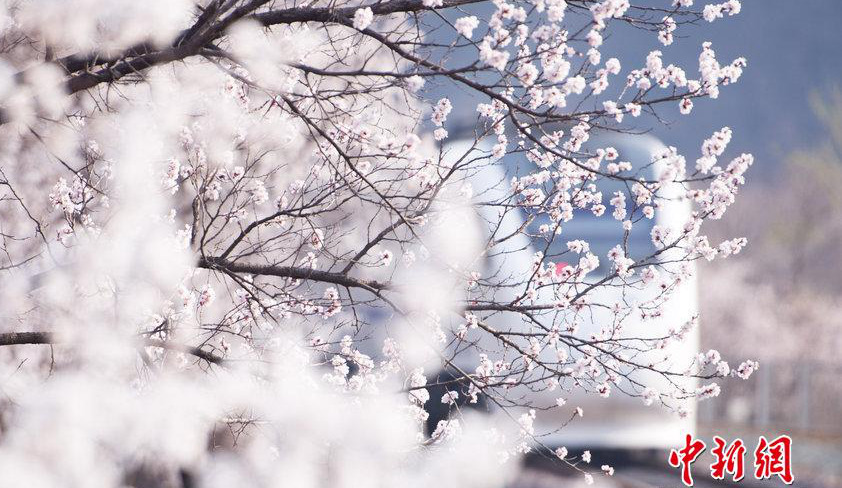 ?? ??? ?? ‘??? ?? ??’, ???(和諧號)