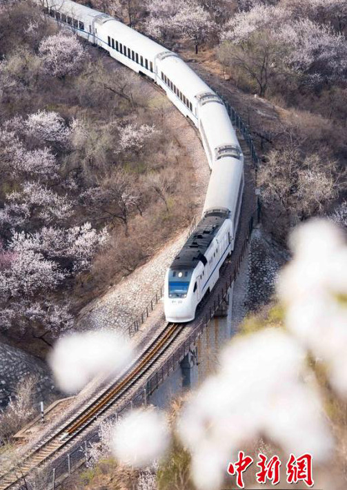 ?? ??? ?? ‘??? ?? ??’, ???(和諧號(hào))