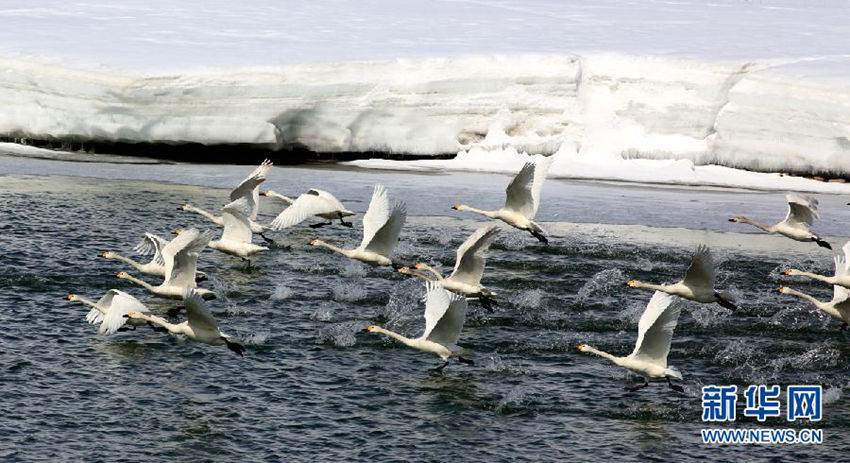 ?? ?????? ?? 100? ??? ???