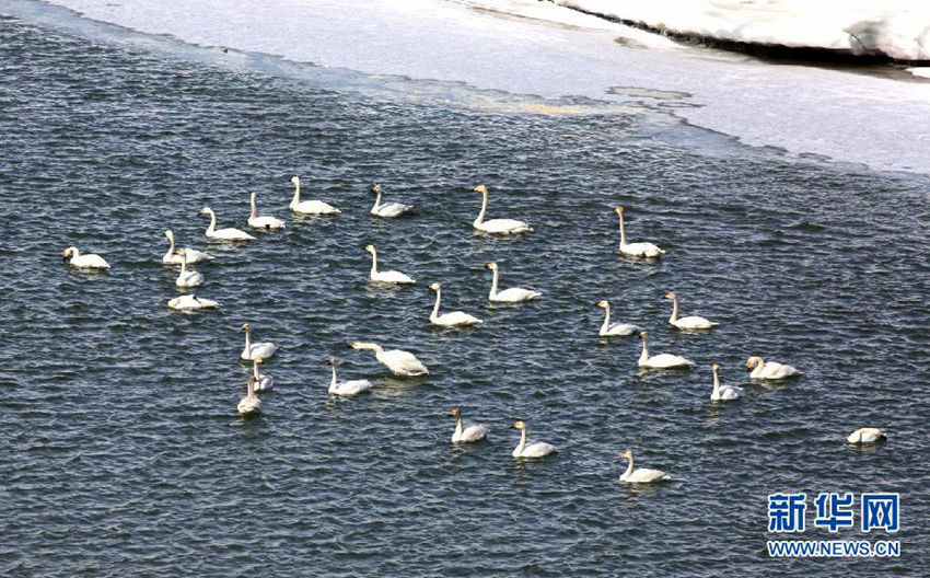 ?? ?????? ?? 100? ??? ???