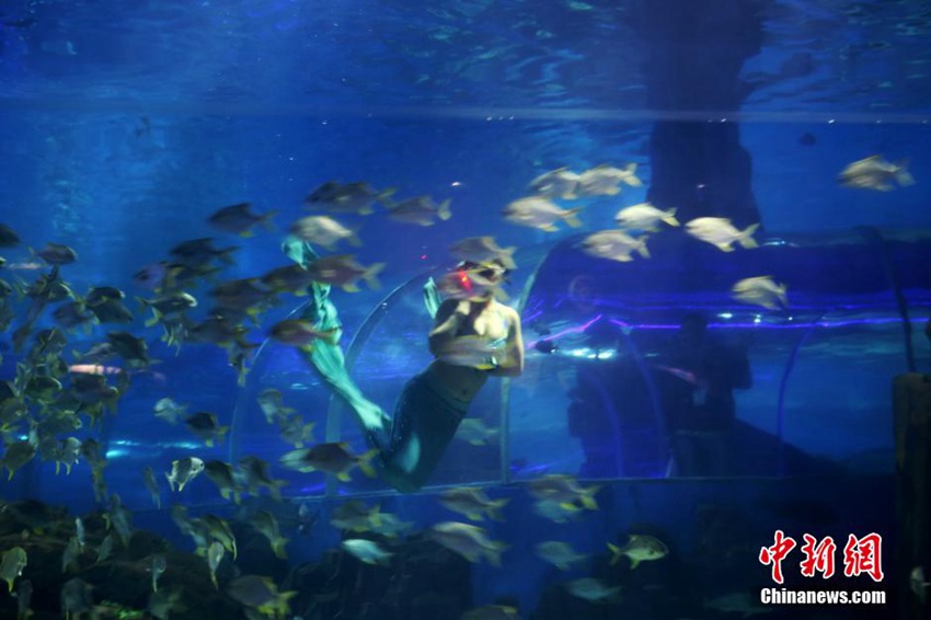 ?? ???? ??? ??, ???? ?? ??