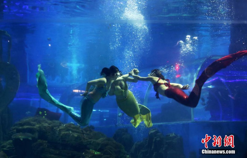 ?? ???? ??? ??, ???? ?? ??