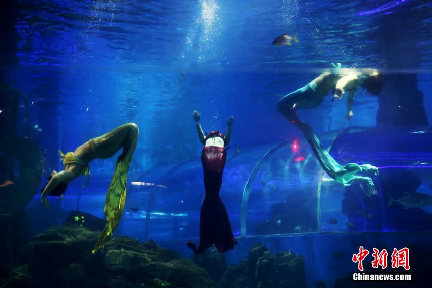 ?? ???? ??? ??, ???? ?? ??