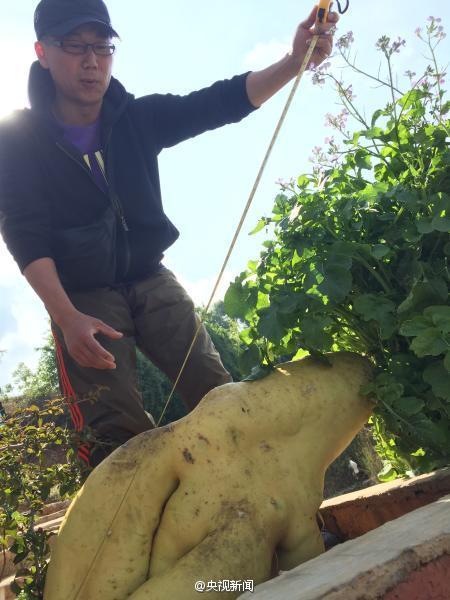 ??? ??1.2m ??15kg ?? ? ??? 