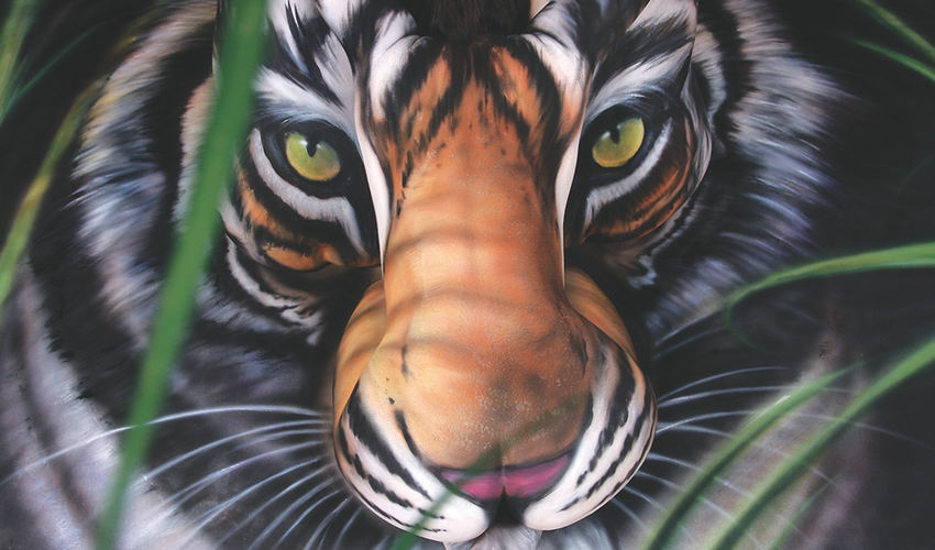 ??? ??? ? ??? ??? ? ?? ???