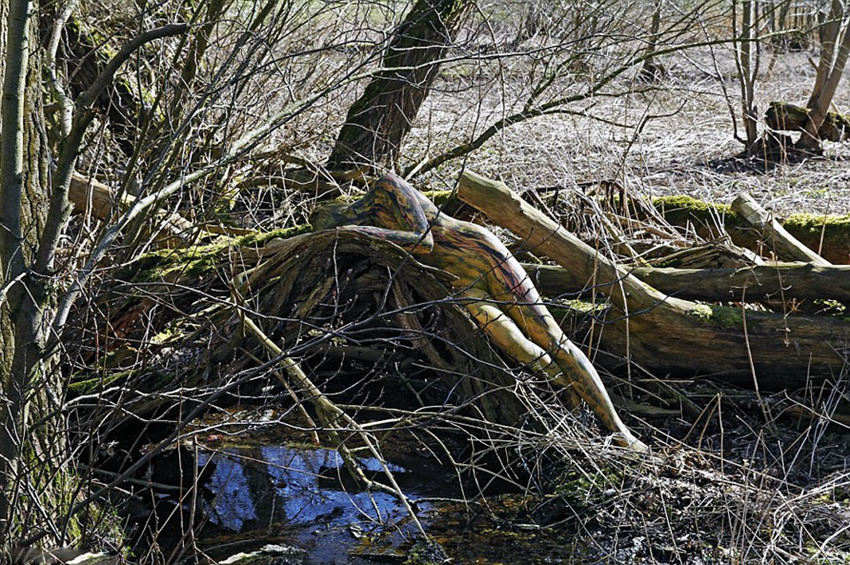 ??? ??? ? ??? ??? ? ?? ???