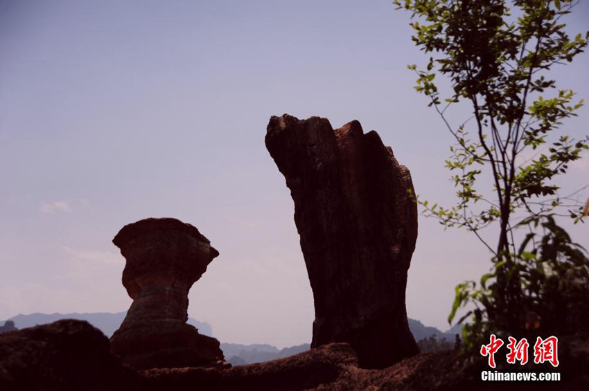 ?? ??? 1000?? ??? ?? ?? ??