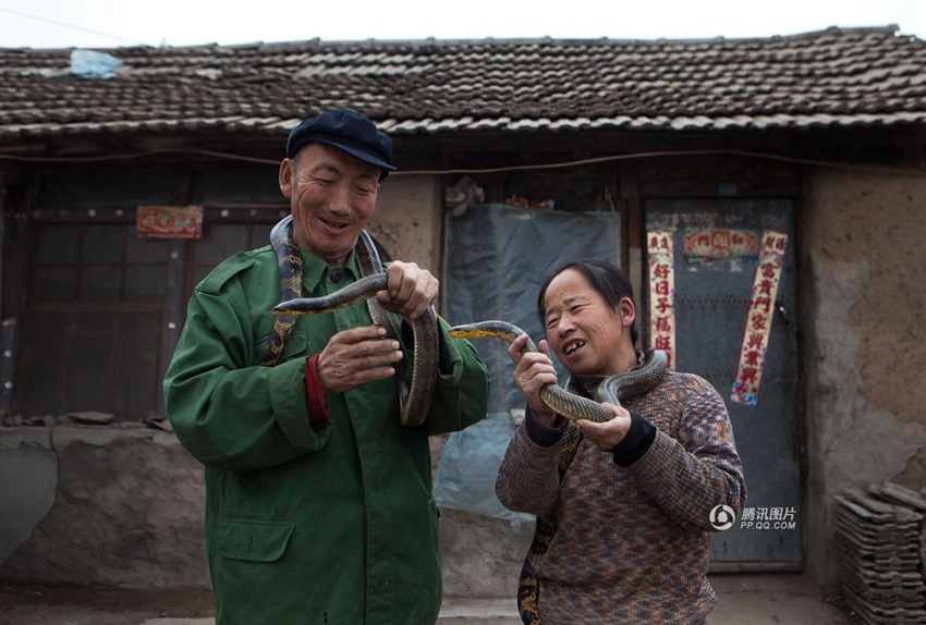 ?? ?? ????，?? ?? ‘?? ??’