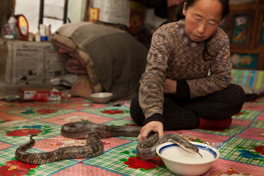 ?? ?? ????，?? ?? ‘?? ??’