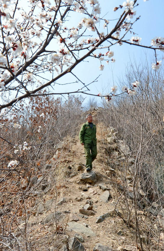 37?? ???? ?? ?? “??? ?????” 