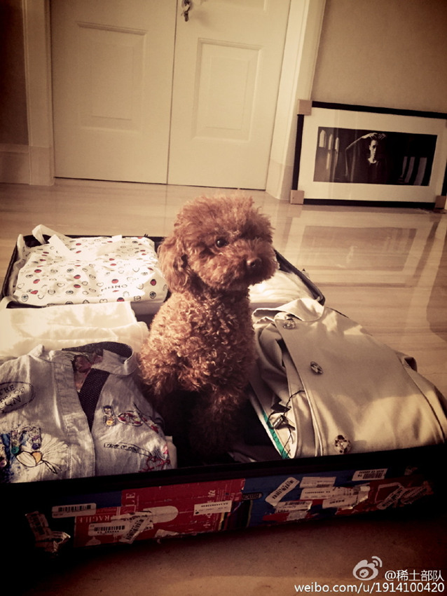 ??? ???? ??, ???? ??? ?? ??