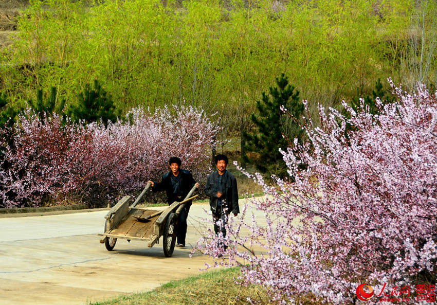 ??? ??? ??? ???? ??? ?? ??