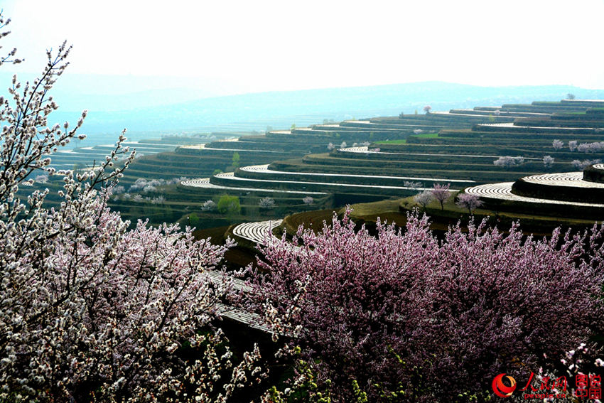 ??? ??? ??? ???? ??? ?? ??