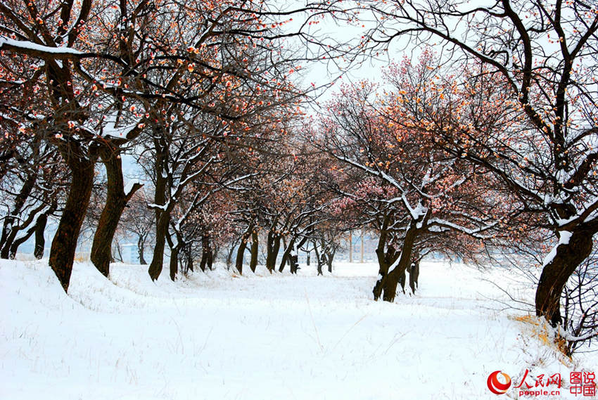 ??? ??? ??? ???? ??? ?? ??