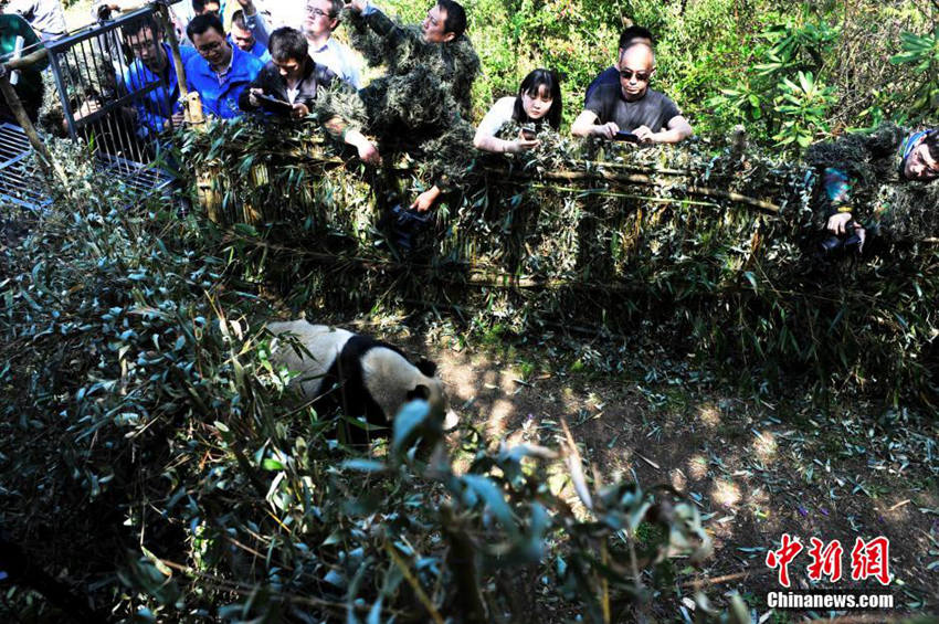 ??? ?? ‘??2?’ ?? ???? ???