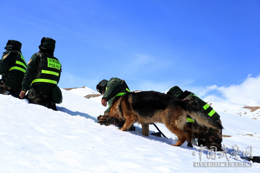 ?? ???? ???, ?? ? ??? ?? ? 