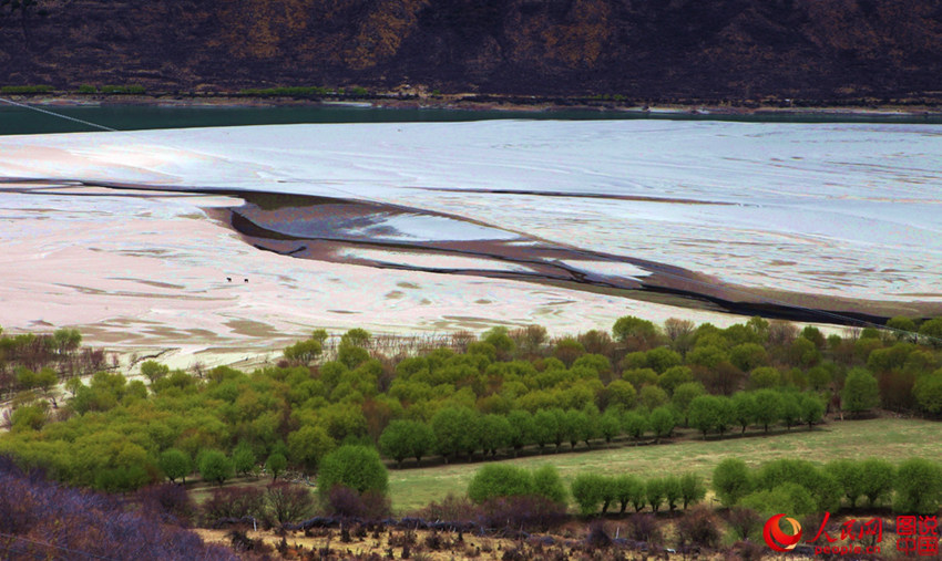 ???? ??(林芝)??, ?? ??? ??? ??? ?? 