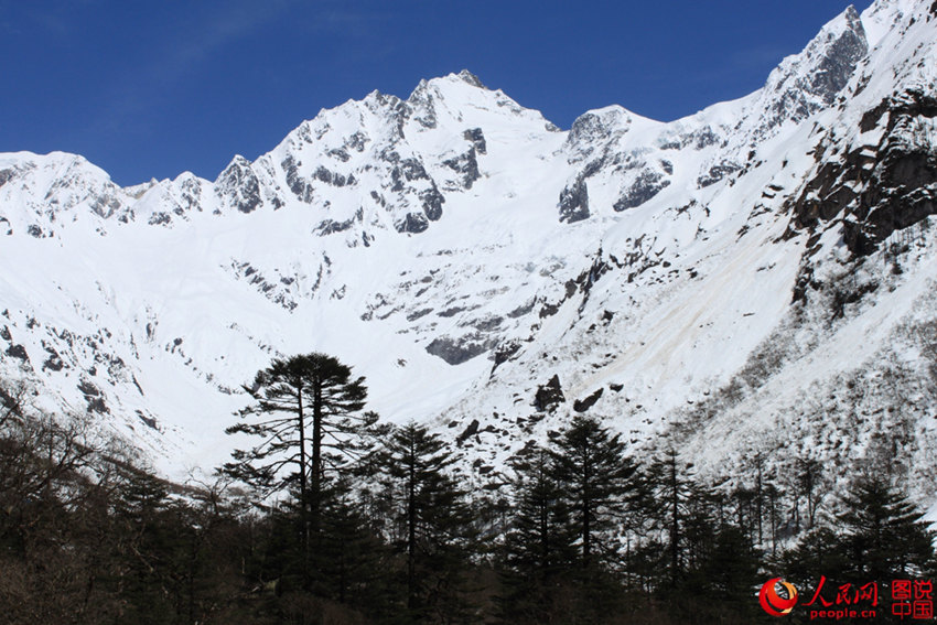 ???? ??(林芝)??, ?? ??? ??? ??? ?? 