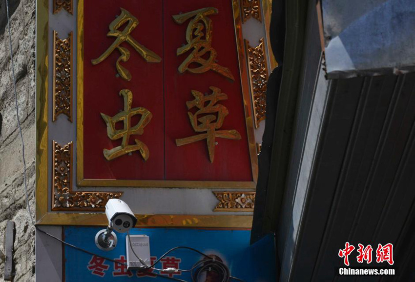 ?? ???? ?? ???, ?? ?? ‘????’ 