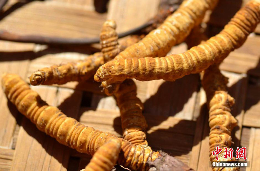 ?? ???? ?? ???, ?? ?? ‘????’ 