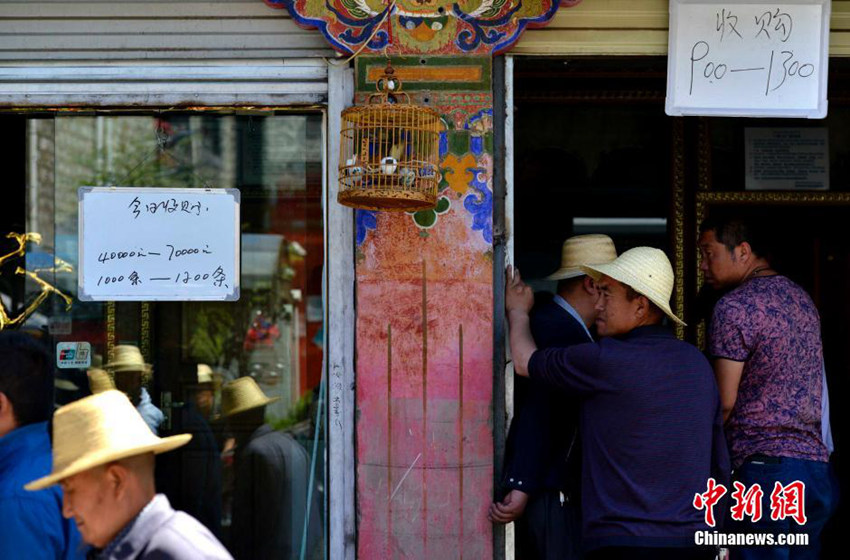 ?? ???? ?? ???, ?? ?? ‘????’ 