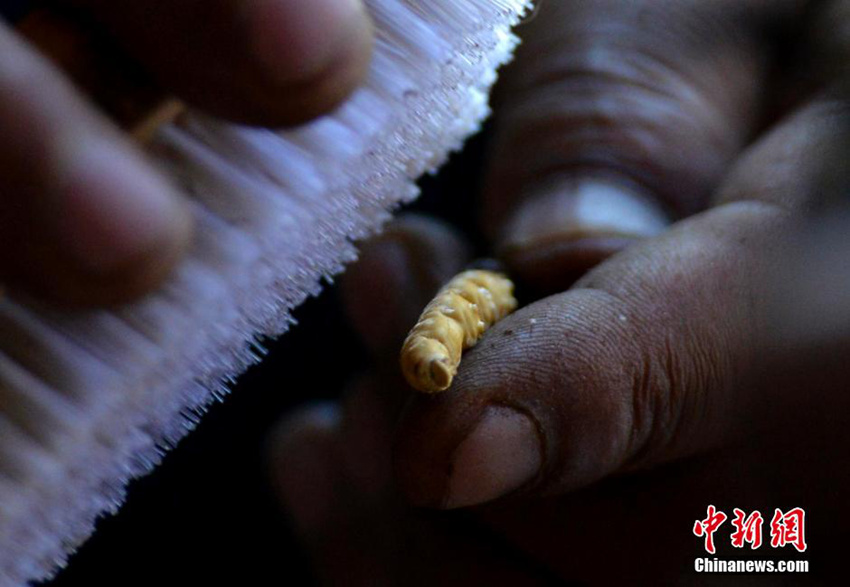 ?? ???? ?? ???, ?? ?? ‘????’ 