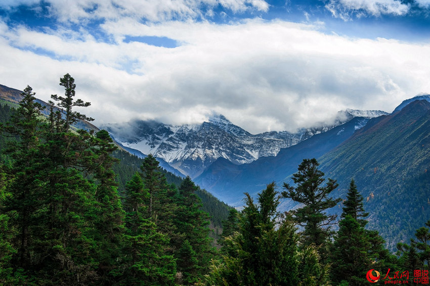 ??? ?? ?, ?? ??? ???? ?? ???