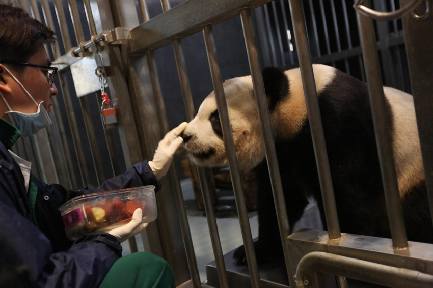 ???? ?? ‘????’? ‘??’? ??? ?? ?? 