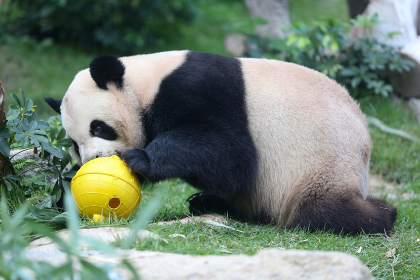 6?29?, ?? ??? ?? ?? ???? ?? ‘????’