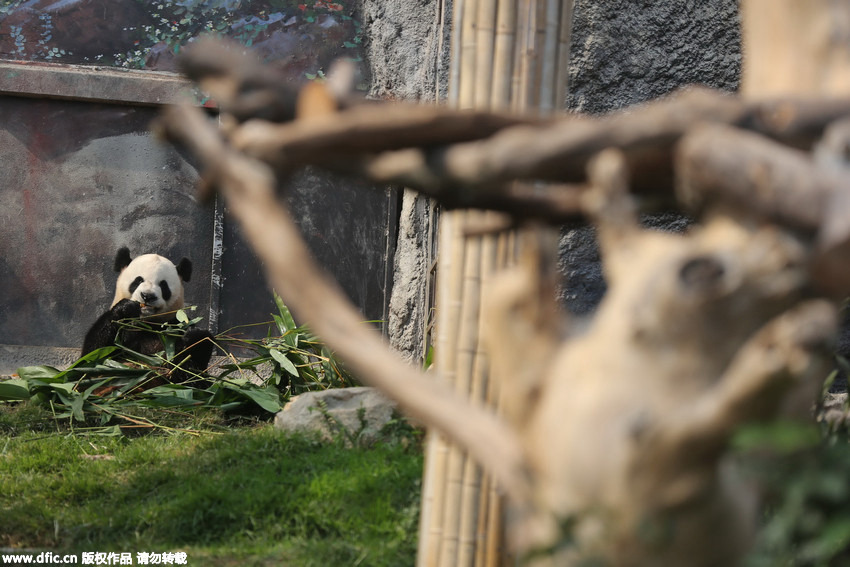 ???? ?? ?? ?? ‘??’… ???? ?? ??