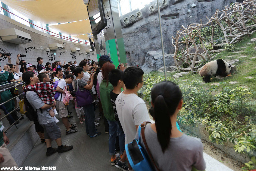 ???? ?? ?? ?? ‘??’… ???? ?? ??