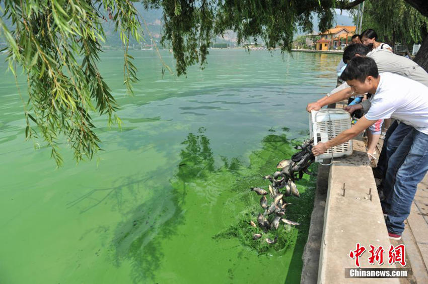 ?? ??(滇池) ??? ?? ??… ‘????’