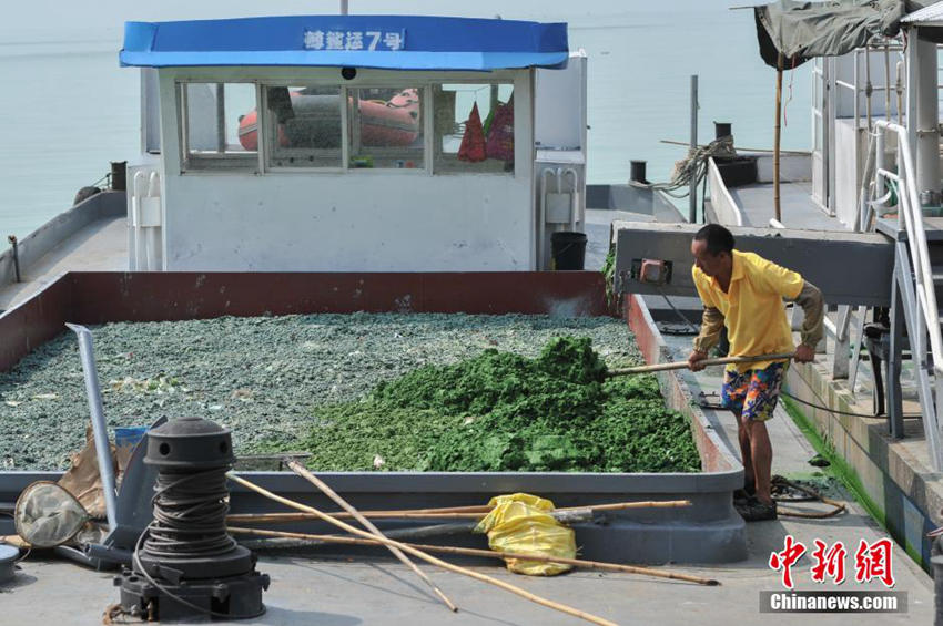 ?? ??(滇池) ??? ?? ??… ‘????’