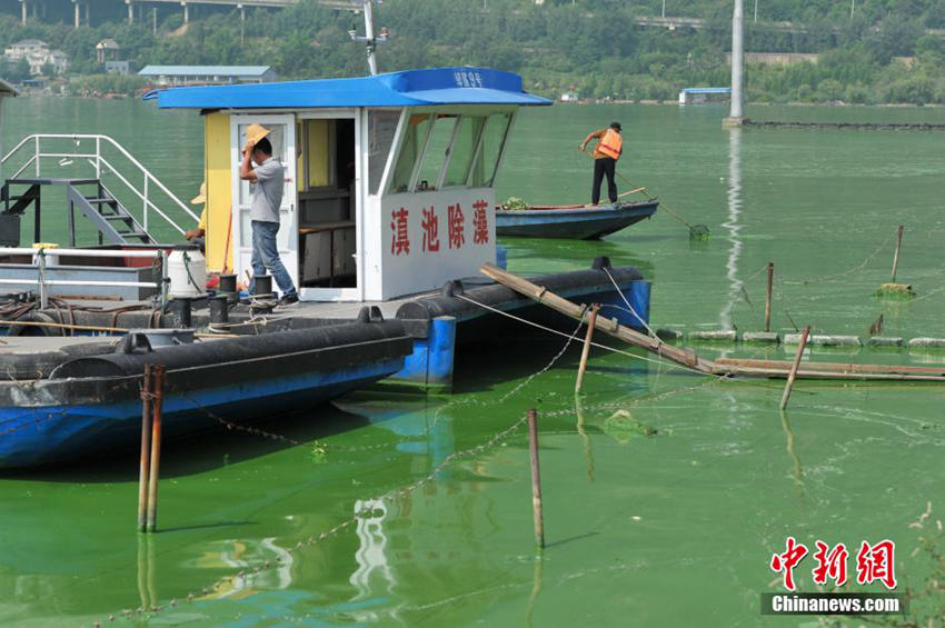 ?? ??(滇池) ??? ?? ??… ‘????’